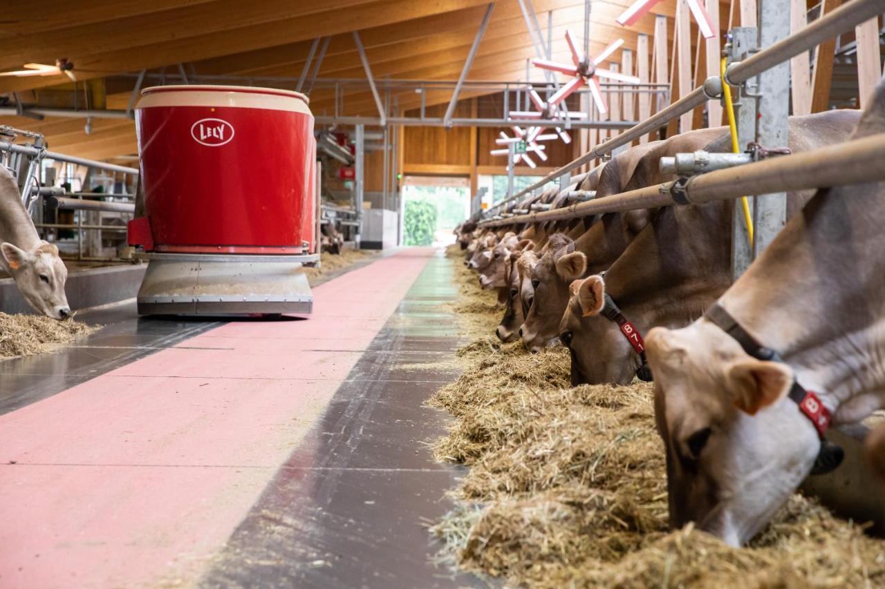 Agriturismo La Fiorida Mantello エクステリア 写真